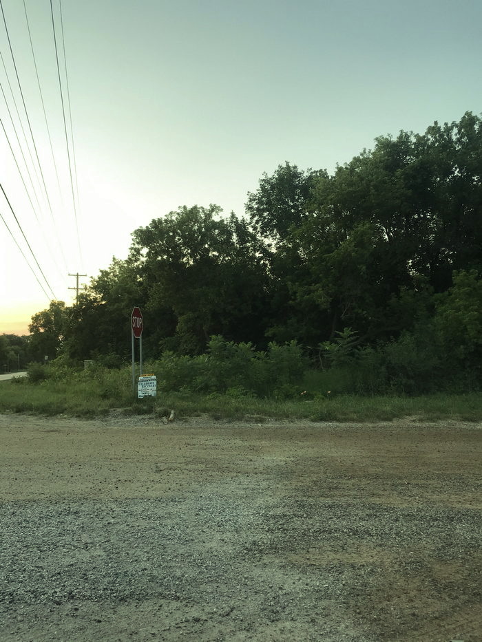 Stony Run - July 2020 Photo (newer photo)